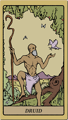 Druid