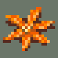 Identify Sunblossom